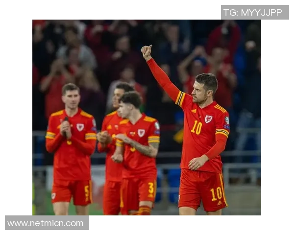 比利时足球历史十大巨星盘点及其在世界足坛的影响力解析